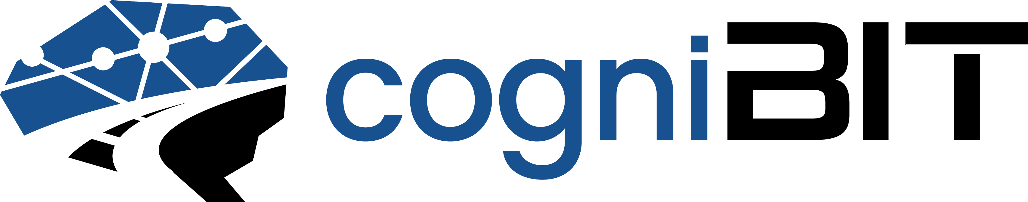 cogniBIT